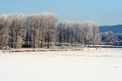 Killikus&reg; Fotographie